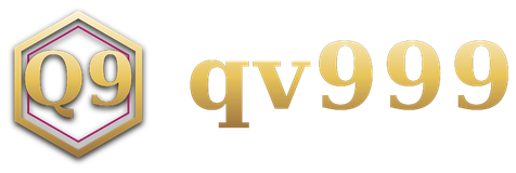qv999 logo